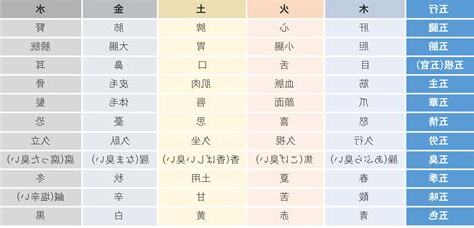 五行 皮膚